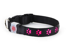 Load image into Gallery viewer, Night Scout™ Rechargeable  Illuminating Dog Collar
