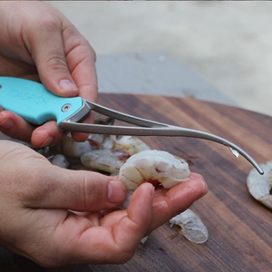 Toadfish ~ Frogmore Shrimp Cleaner