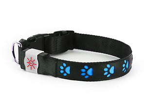 Night Scout™ Rechargeable  Illuminating Dog Collar