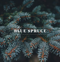Load image into Gallery viewer, Orleans Blue Spruce Candle
